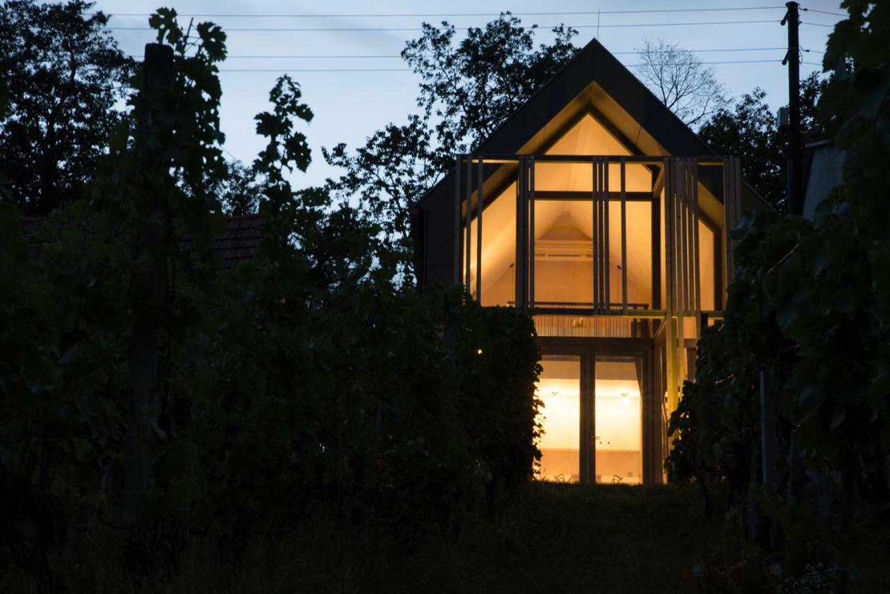 德普因-艾森伯格Weinlofts Weinloft II别墅 外观 照片