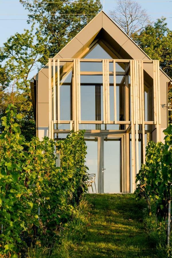 德普因-艾森伯格Weinlofts Weinloft II别墅 外观 照片
